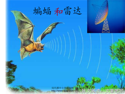 描写灵巧的经典句子