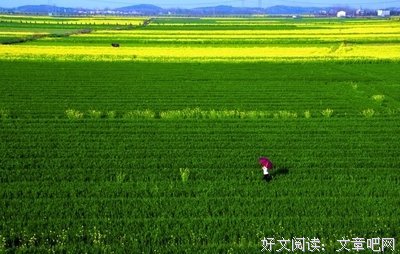 15条关于春意盎然的经典语句