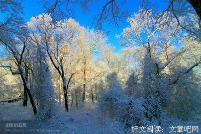 关于常开不败的名言