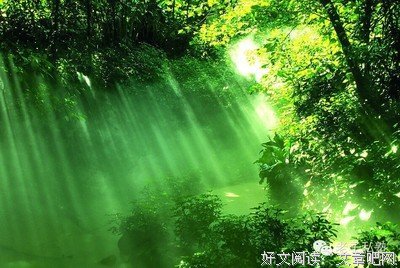 情绪管理的最高境界：不以物喜，不以己悲，有可能做到吗？