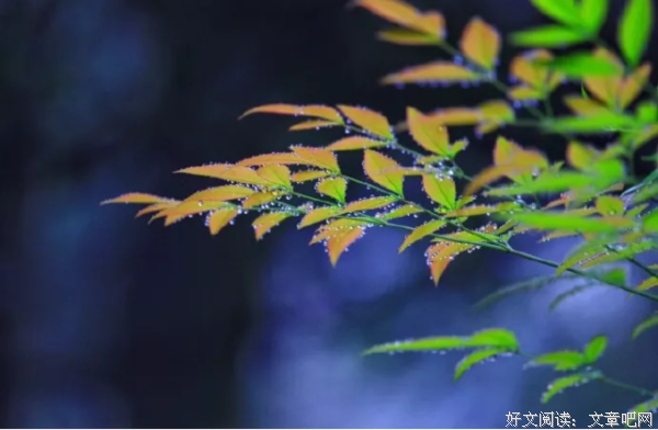 愿你，找一个供养你灵魂的人 