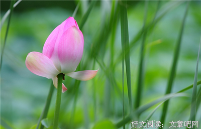 关于暗的句子