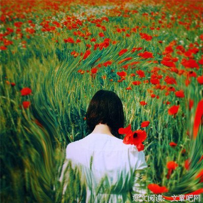《随手》的句子