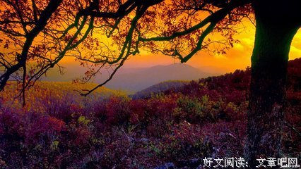 夜句子大全