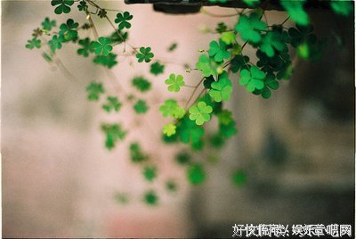 凡事，不强求！