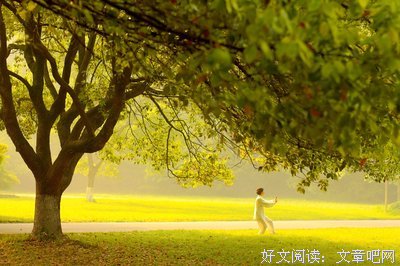描写黄头发的经典句子