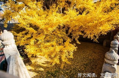 欠银行的钱，下辈子我一定还丨人间