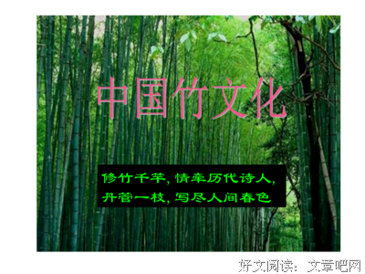 最经典的《南风知我意》佳句摘抄大全