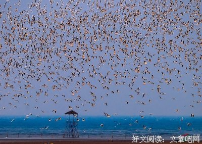 《我的是地学你还数之走》的句子