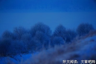 关于兆丰年的语句