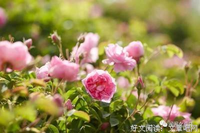在男女交往中，要不要去坚持呢？