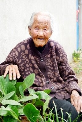 老姑的句子