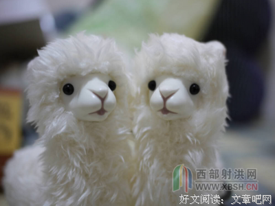 这段感情，我更喜欢我自己