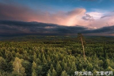 15条关于大煞风景的经典语句