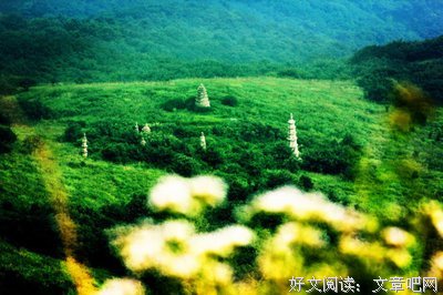 荼蘼牌®美食滤镜教程来啦