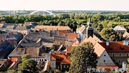 《生命是个奇迹》观后感10篇