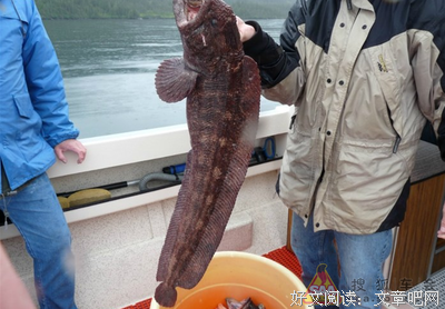 《Only in Alaska:跟我去阿拉斯加》读后感精选10篇