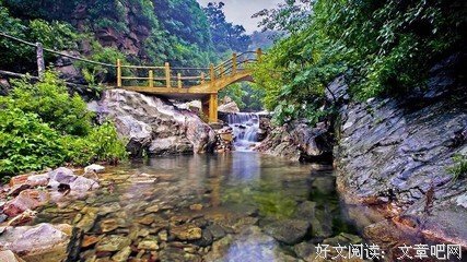 和老婆讲道理的男人，智商都有问题
