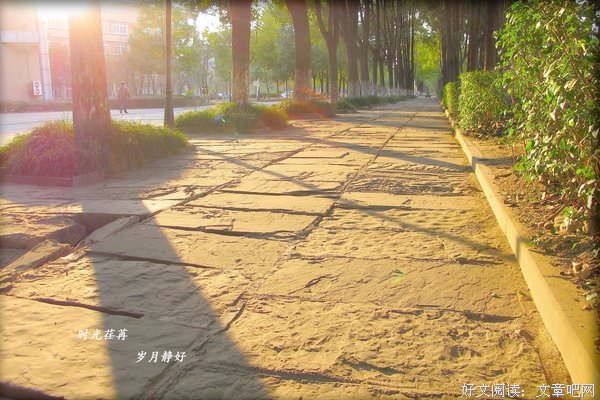 时光里的欧洲读后感10篇