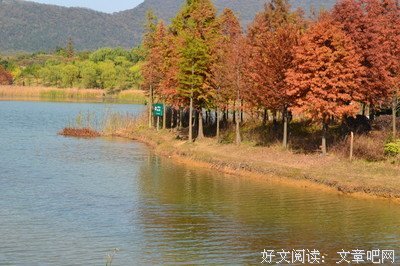 赏读：九月，绝美秋色，人间天堂