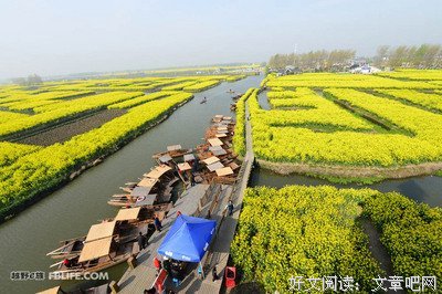 江南虎的慈悲