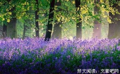 面对经典的句子