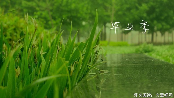 书季的句子