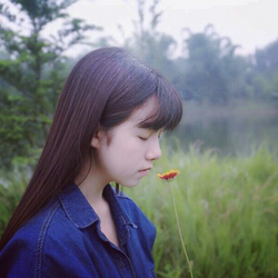 堇年句子