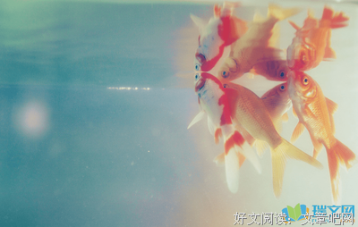 温文的句子
