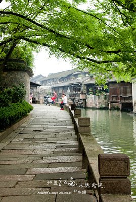 《行尽江南，未与君遇》读后感10篇