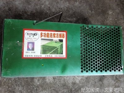 捕鼠器读后感精选10篇
