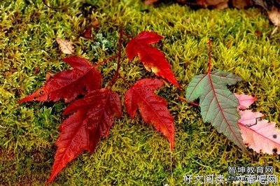 明朝你四发过然些我想满发可道句子