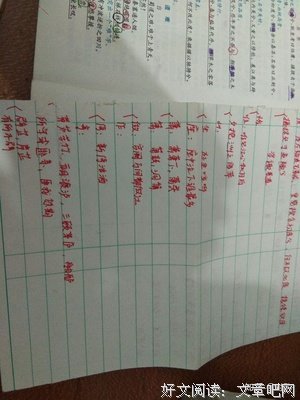 关于张小的名言