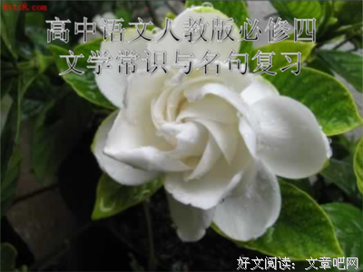 窦娥的名言_关于窦娥的名言