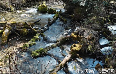 15条关于江怀溪的经典语句