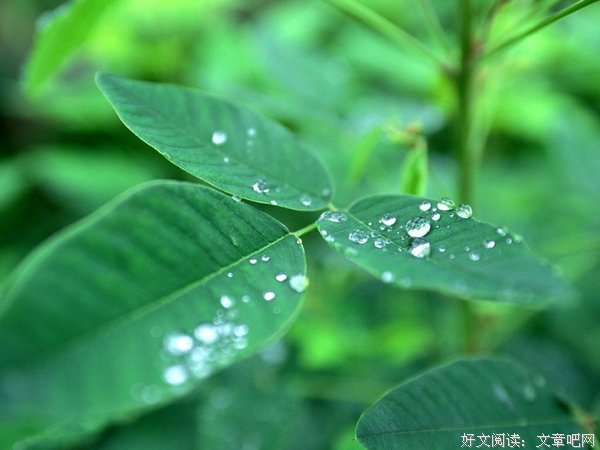 千春的语句摘抄_关于千春的语句
