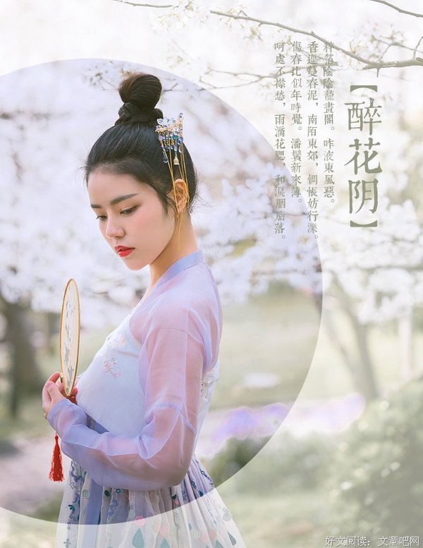 醉花阴优美的句子
