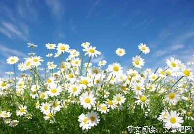 顿悟好词好句