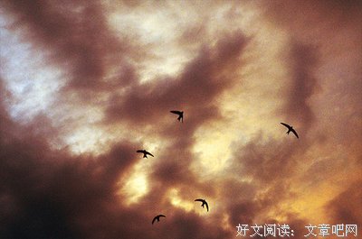 爱恋句子