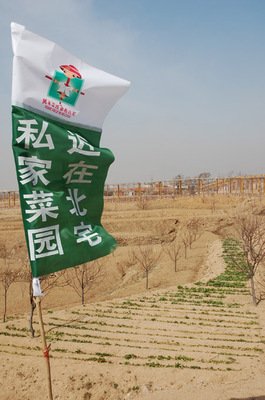 局长播种归来，不为性不为爱......