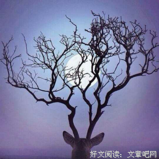 人，内心强大比什么都重要