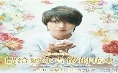描写阿尔吉侬的经典句子