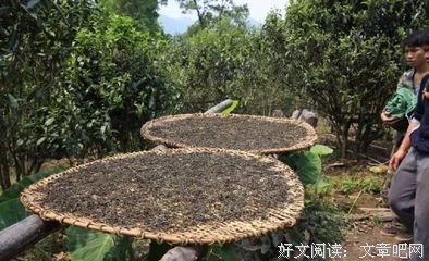 不要再乱喝茶了。。长期喝茶后得到这样的后果，真没想到。