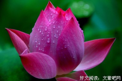 关于不言自明的名言