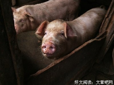 关于关东野客名言大全