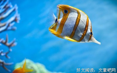 《深海异形》好看吗？经典观后感10篇