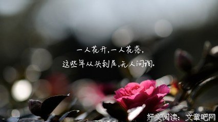 唯美语录