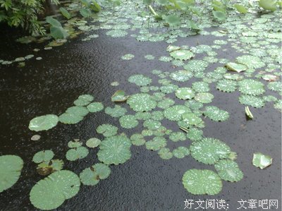 歌词念心
