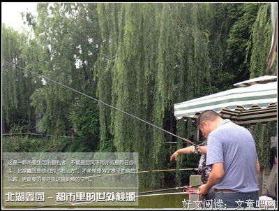 鬼手把她天医经典的句子