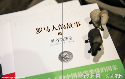 罗马人的故事3经典读后感10篇
